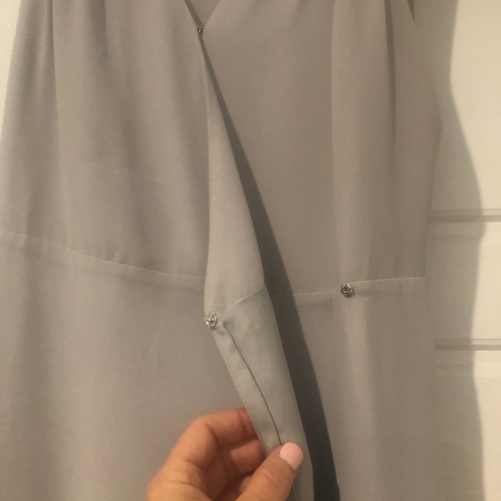 Naked Zebra Dress - Picture 5 of 11